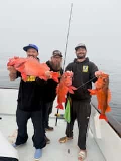 Somethings Fishy sponsored trip — photo 2