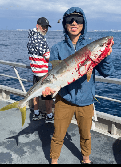 New Del Mar: Yellowtail Action When the Sun Came Out — photo 3