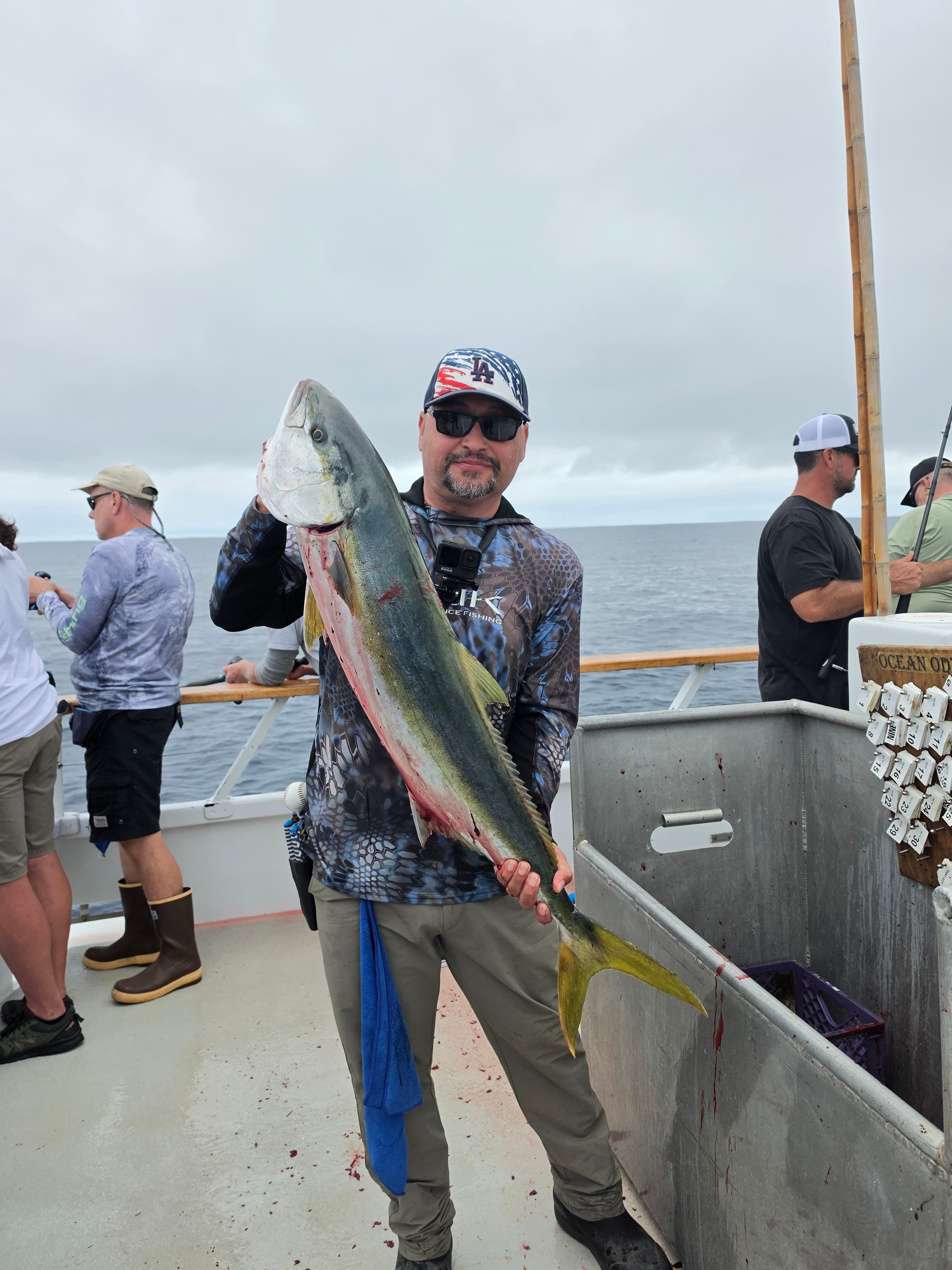 Cortez Bank big Yellowtail