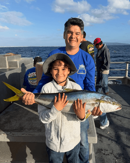 New Del Mar: Yellowtail Action When the Sun Came Out