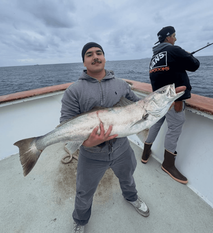 New Seaforth: Two White Seabass and Six Yellowtail on Monday's Half Days