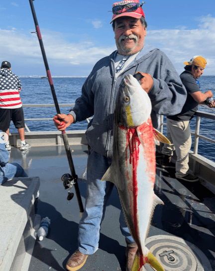 New Del Mar: Yellowtail Action When the Sun Came Out — photo 2
