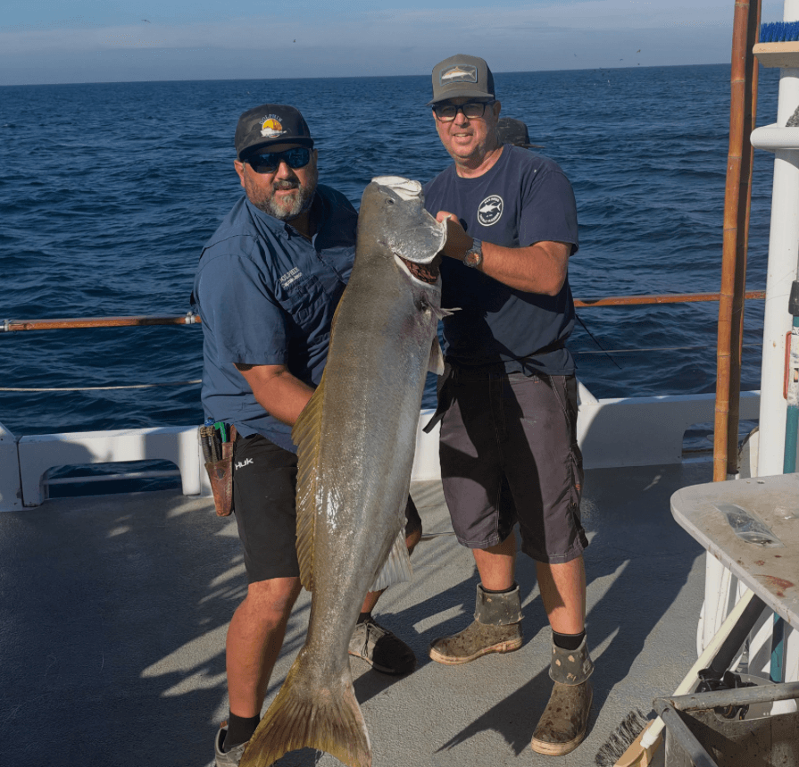 Dolphin: 51 lb White Seabass on Deck, Still Lots of Time to Fish