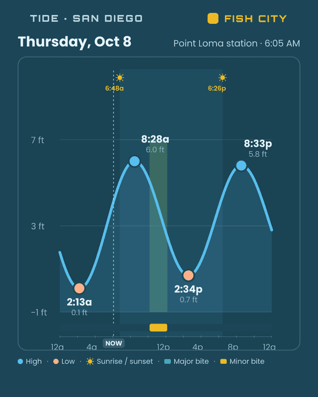 Friday looks like the move — photo 2
