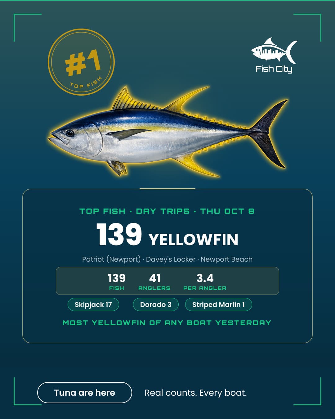 379 yellowfin tuna caught yesterday on 3/4-day and full-day trips, by 7 of the 20 boats out. Kept and released.
