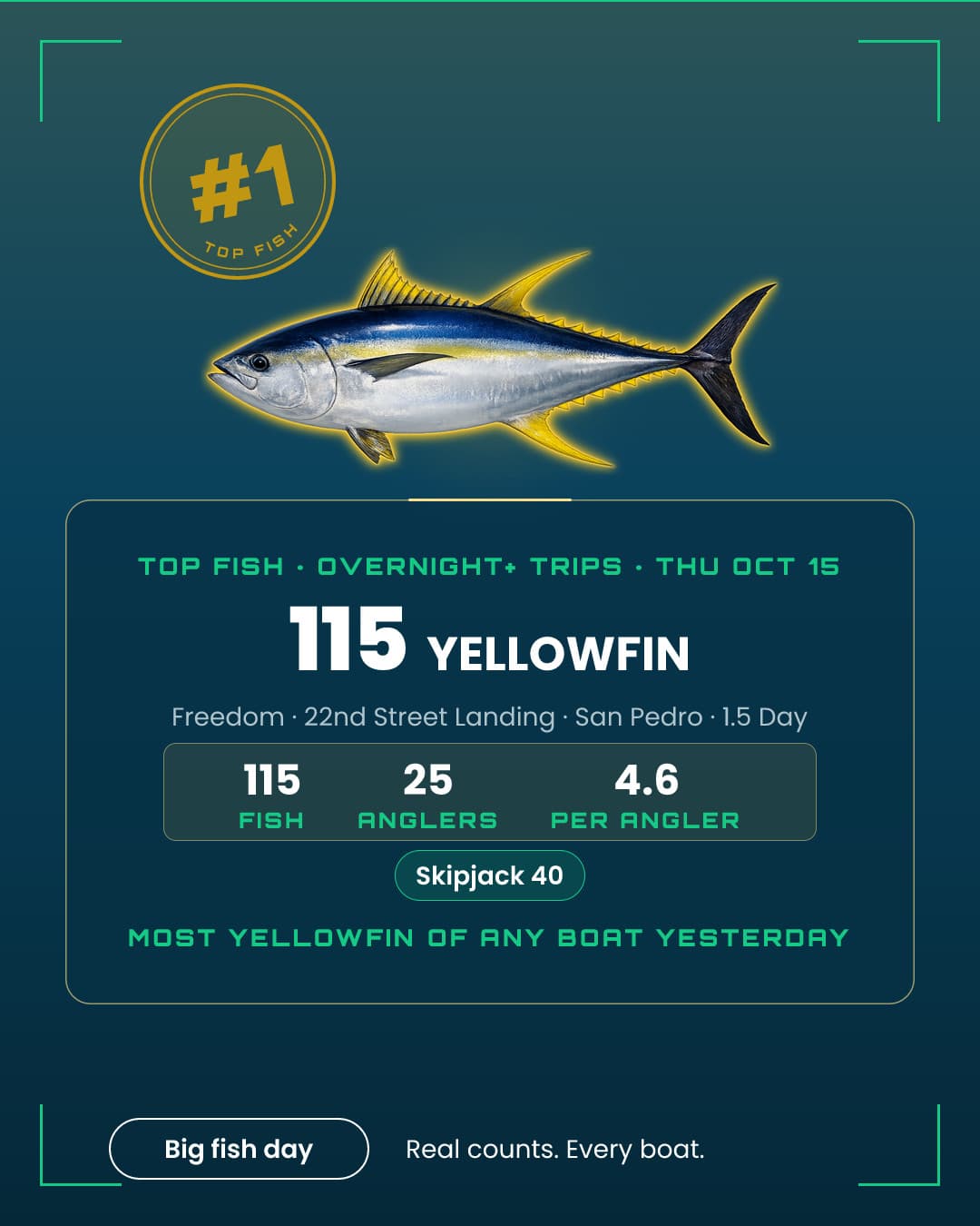 115 Yellowfin on the Freedom.