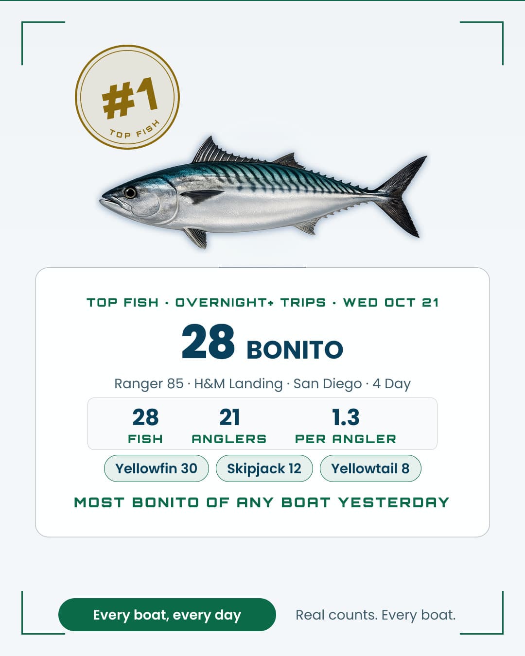 28 Bonito on the Ranger 85.