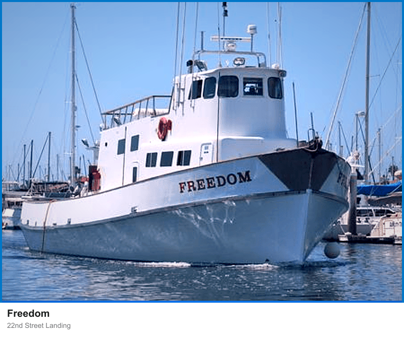 Freedom