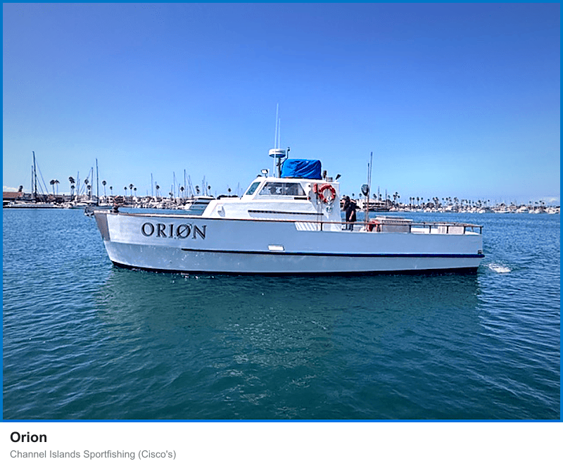 Orion