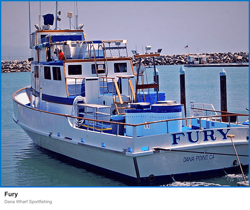 Fury