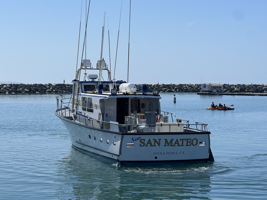 New San Mateo