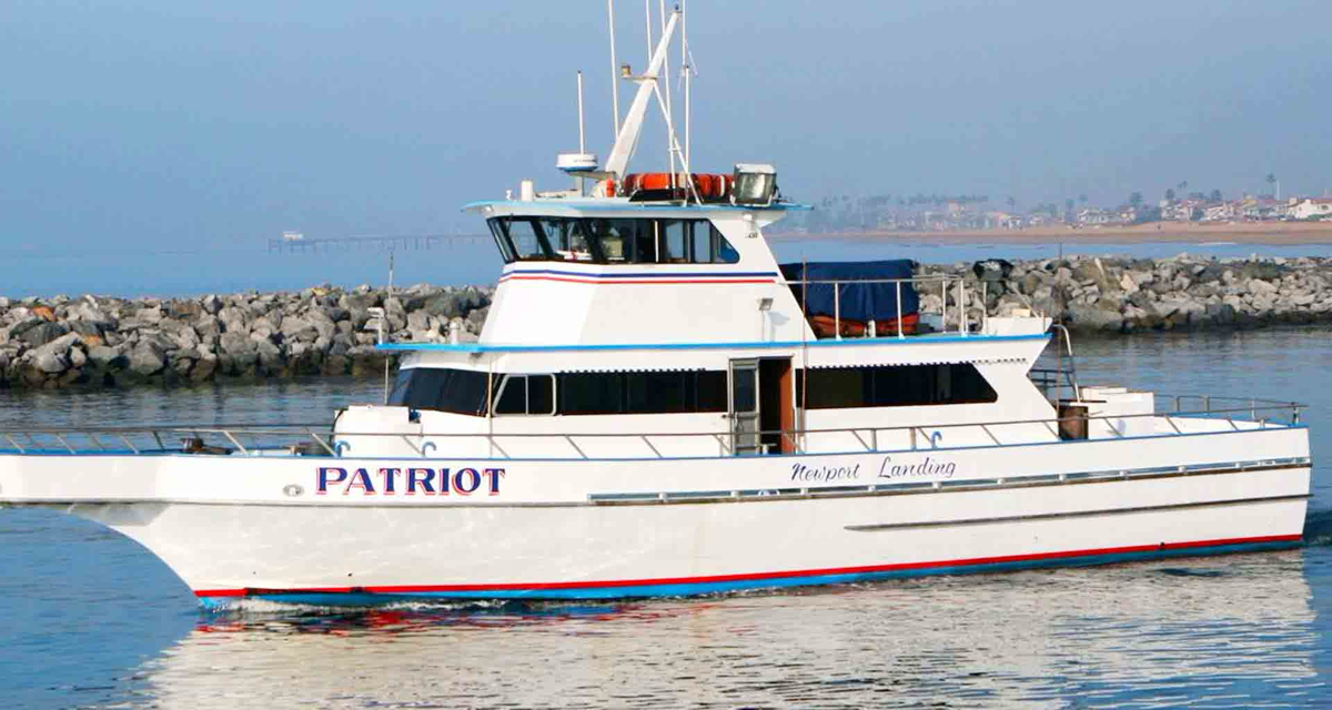 Patriot (Newport)