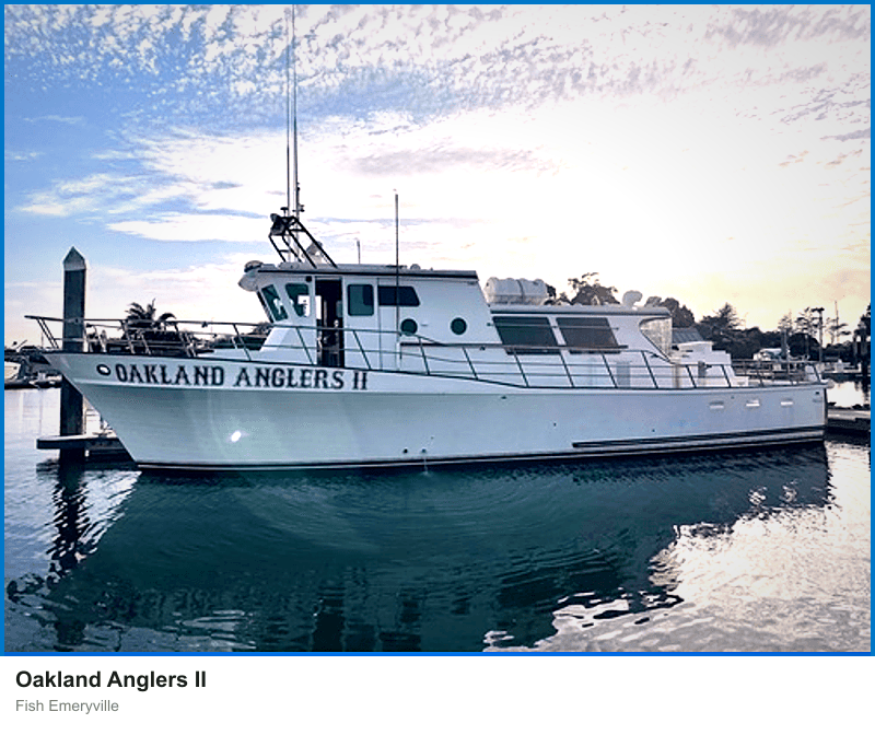 Oakland Anglers II