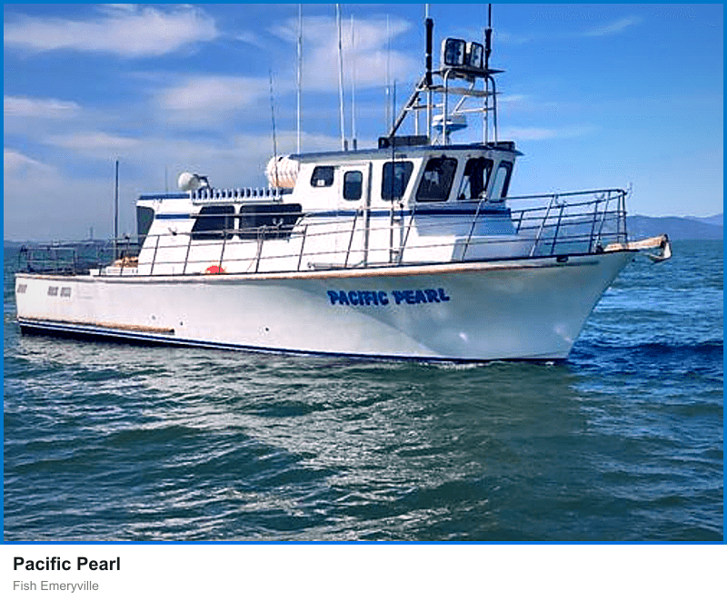 Pacific Pearl
