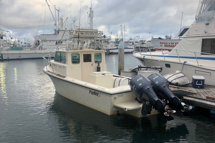 Bight 28 (SD)