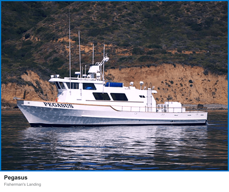 Pegasus at Fisherman’s