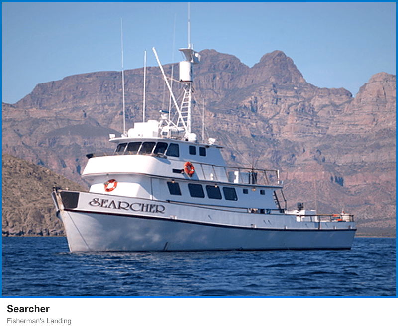 Searcher at Fisherman’s
