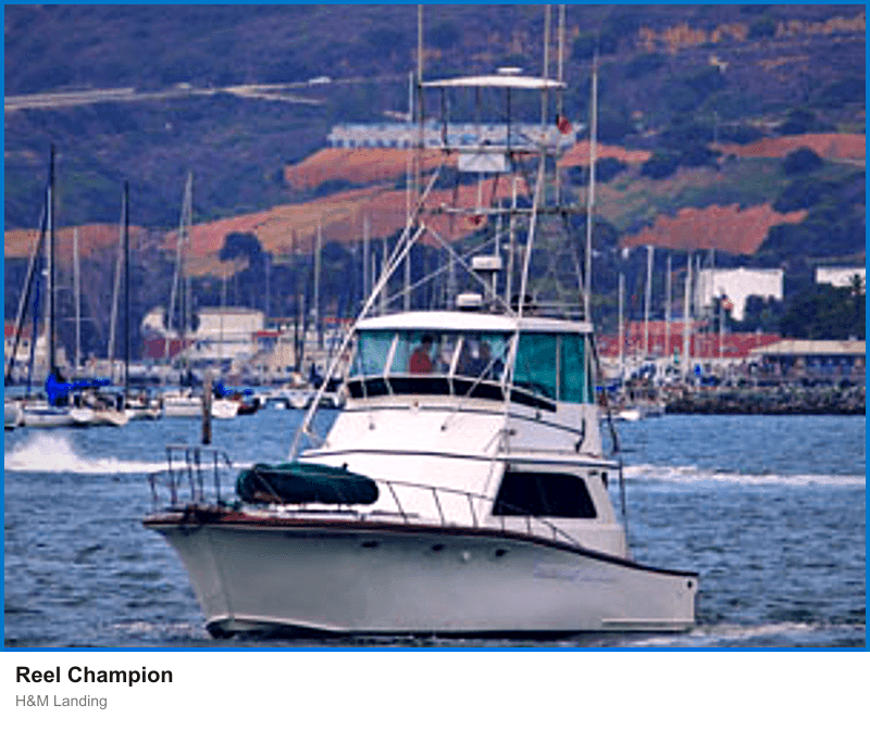 Reel Champion at H&M Landing