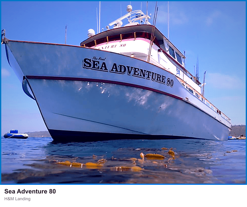 Sea Adventure 80 at H&M Landing