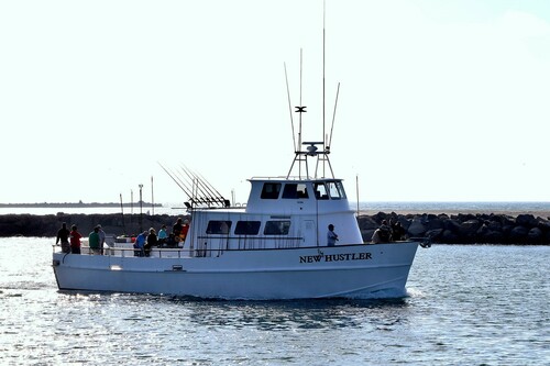 New Hustler at Hooks Landing