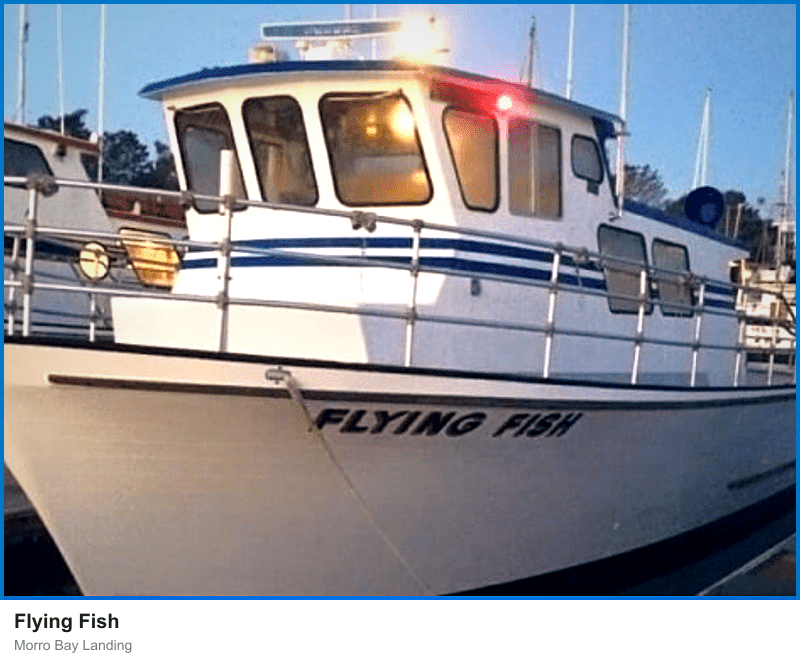 Flying Fish
