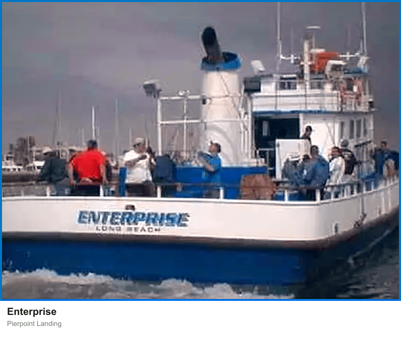 Enterprise
