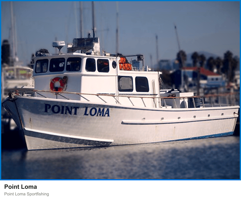 Point Loma at Point Loma Sportfishing