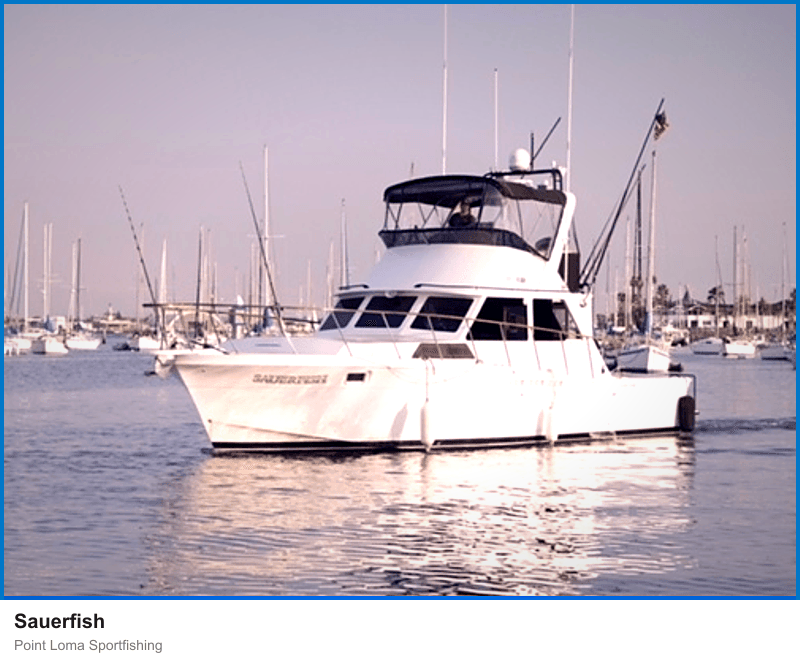 Sauerfish at Point Loma Sportfishing