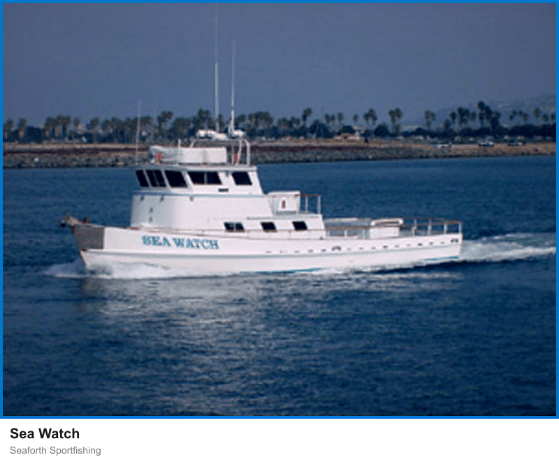 Sea Watch at Seaforth