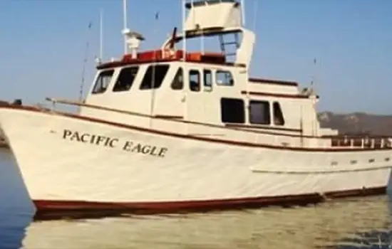 Pacific Eagle