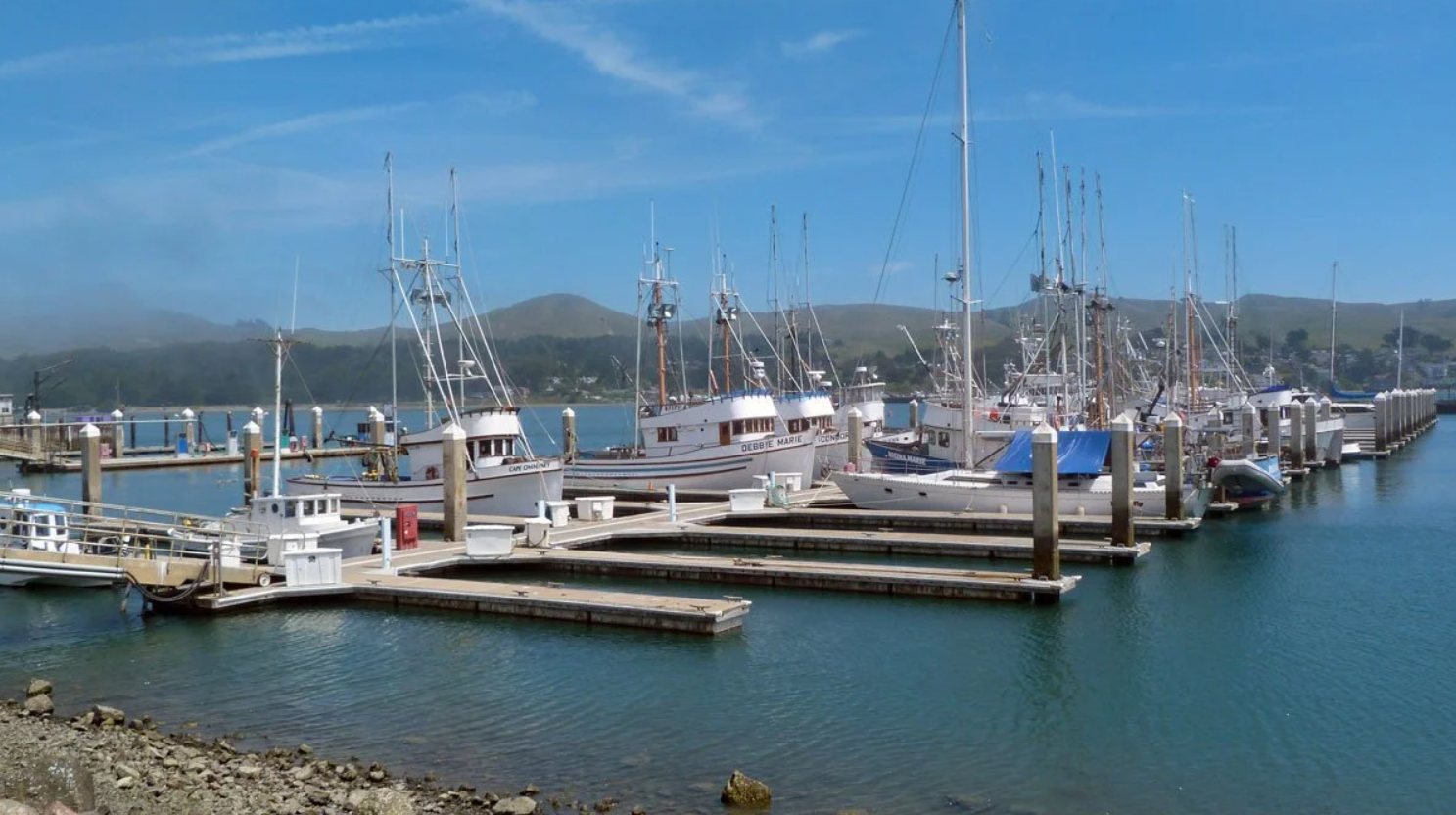 Bodega Bay fishing