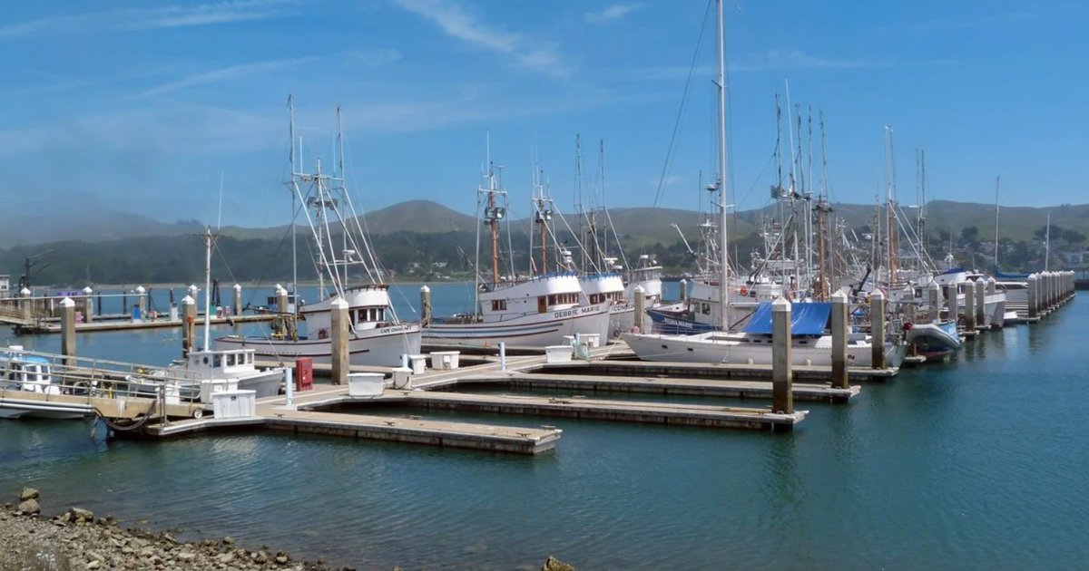 Surf Scooter at Bodega Bay Sportfishing Center