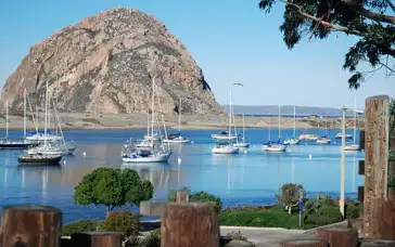 Morro Bay fishing