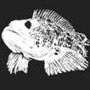 Virg's Tackle Emporium logo