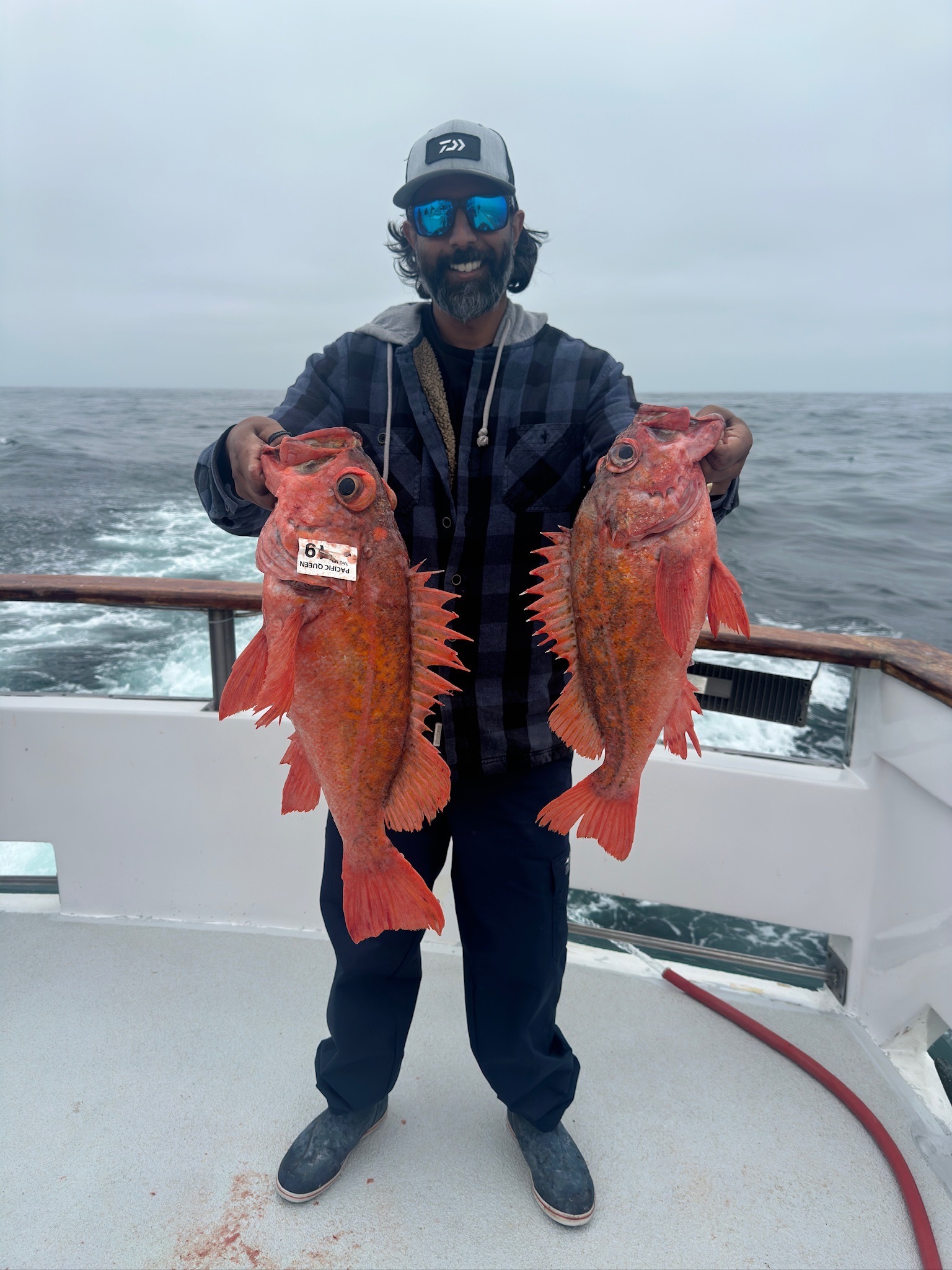 San Diego Rockfish — The 68-Day Shallow Window Just Opened