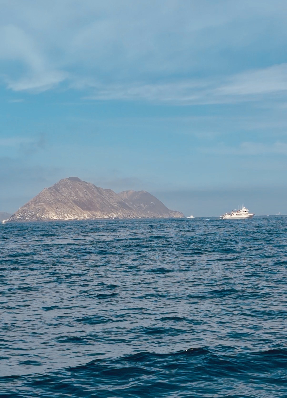 Yellowtail Rebounding at the Coronados — Lower Boat Pressure