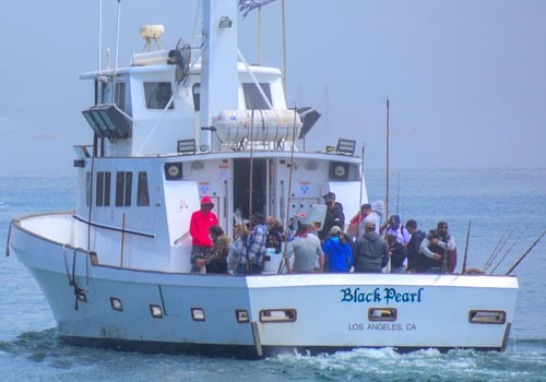 Black Pearl Sportfishing