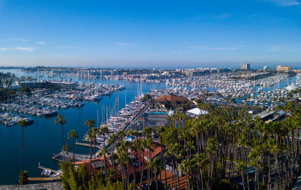 Marina Del Rey fishing