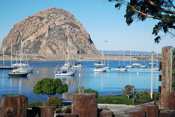 Morro Bay fishing