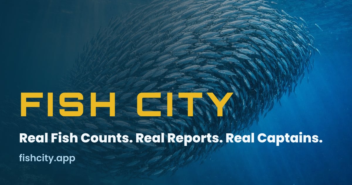 California Fish Species — What's in Season & How to Catch