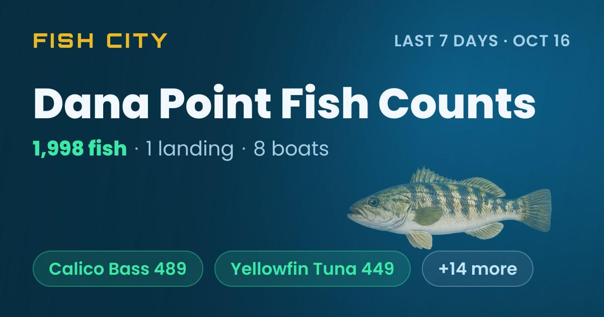Dana Point Fish Counts: 1,998 Fish in 7 Days (Oct 16)