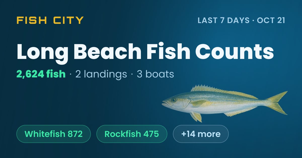 Long Beach Fish Counts: 2,624 Fish in 7 Days (Oct 21)
