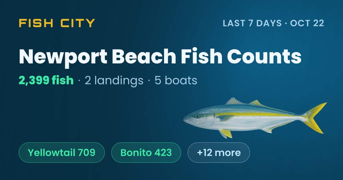 Newport Beach Fish Counts: 2,507 Fish in 7 Days (Oct 21)