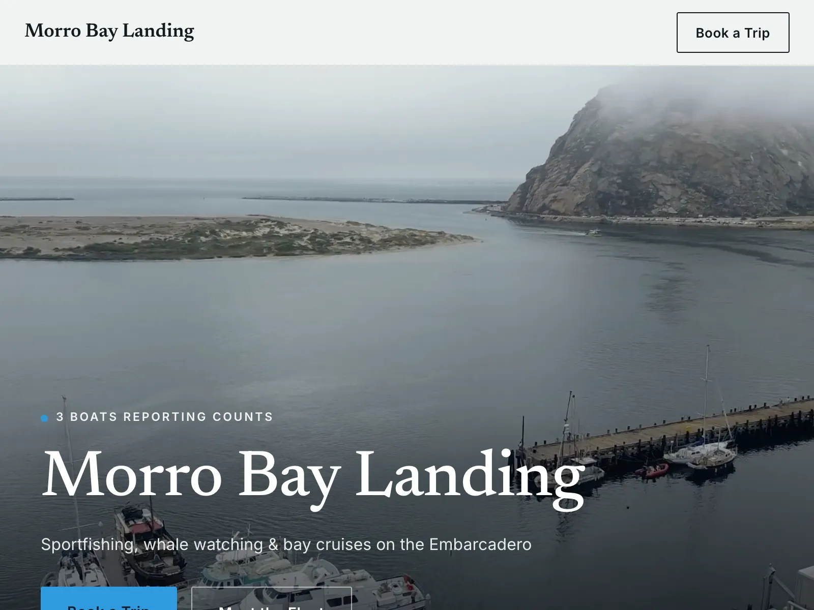 Morro Bay Landing partner website showing its boats reporting counts and a Book a Trip button