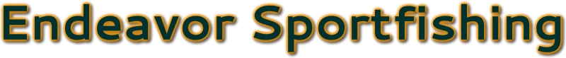Endeavor logo