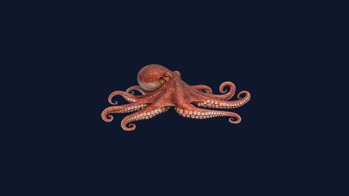 California two-spot octopus studio illustration — tan octopus with distinctive blue-ringed false eye spots and eight sinuous arms against a dark rocky background.